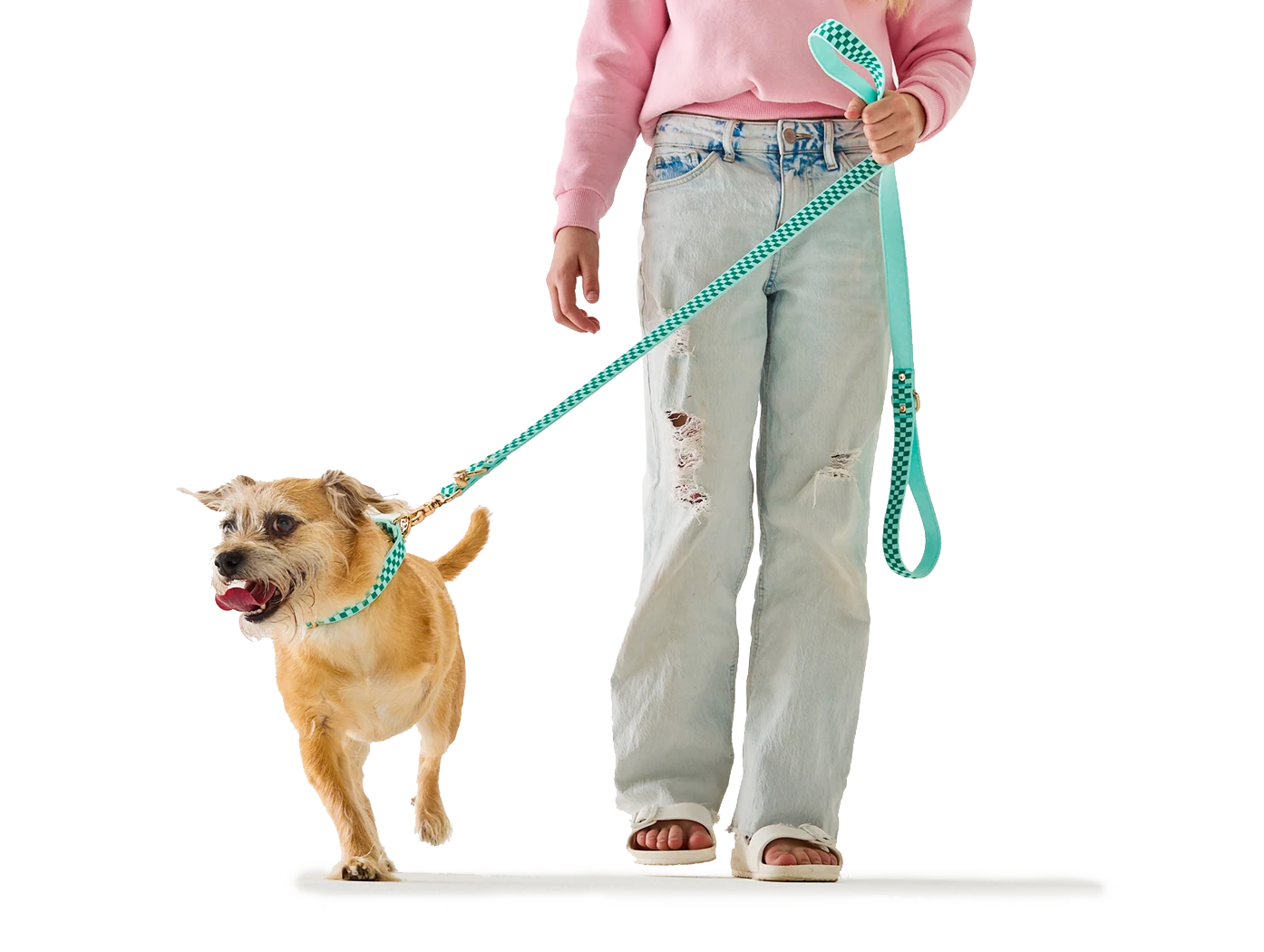 DOG WALK ESSENTIALS