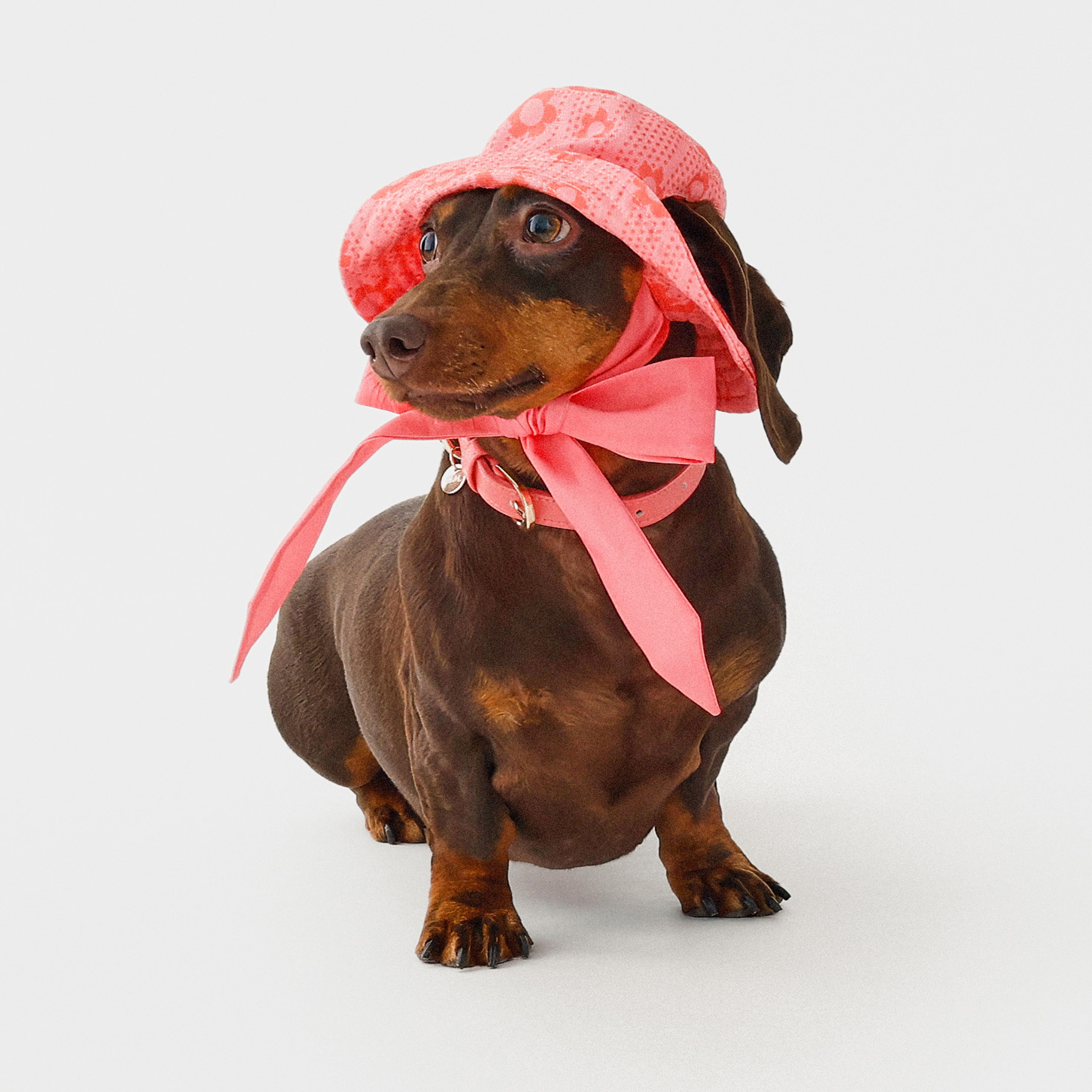 Daisy Sun Hat