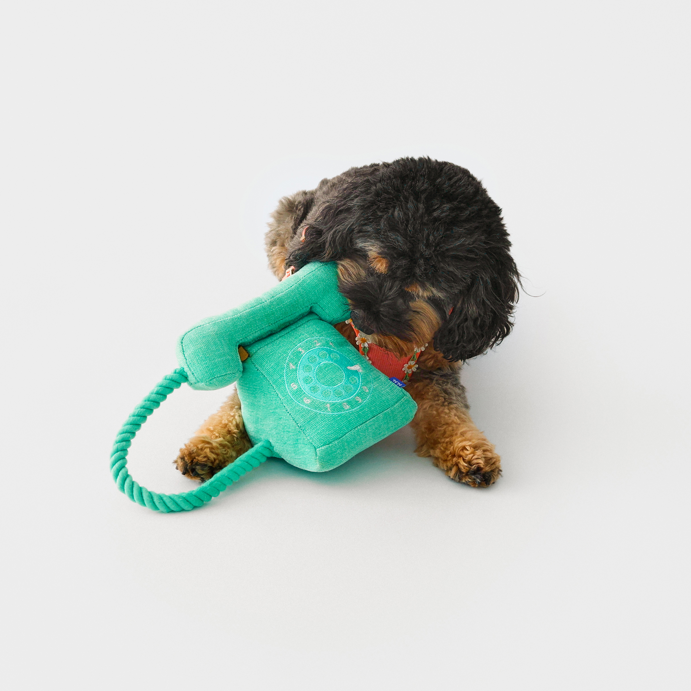 Retro Phone Dog Toy