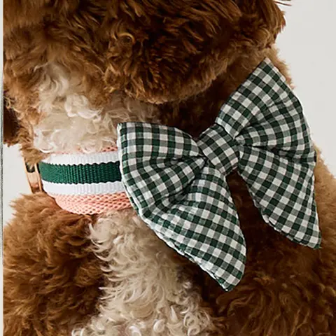 Green Gingham Bow Tie