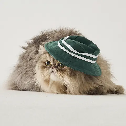 Green Golf Pet Hat