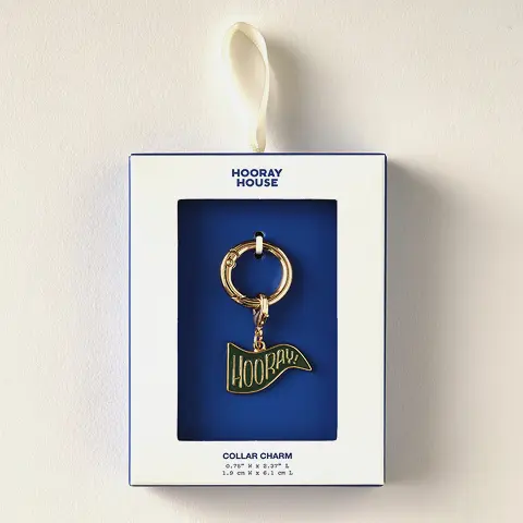 Hooray Pennant Collar Charm