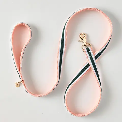 Performance Mesh Leash