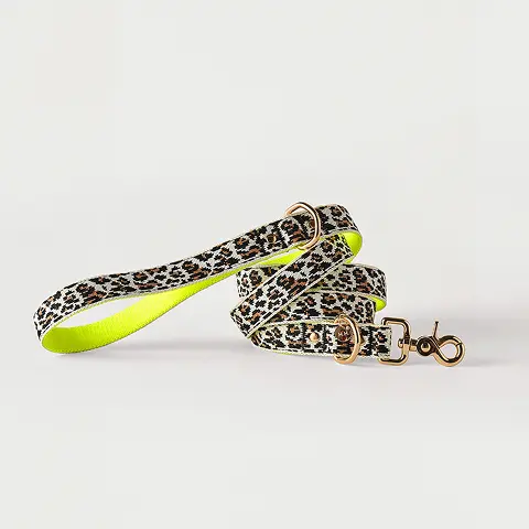 Leopard Dog Leash