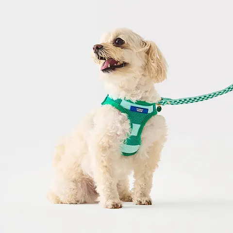 Green Comfort Knit Dog Harness
