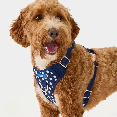 Navy Dot Comfort Knit Dog Harness