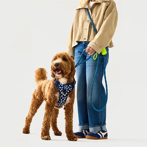 Hands-Free Adjustable Dog Leash