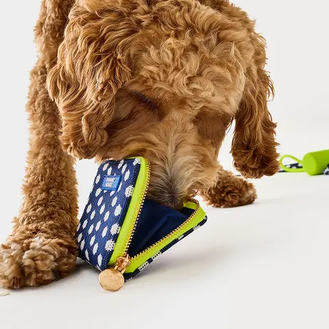 Navy Dot Dog Leash